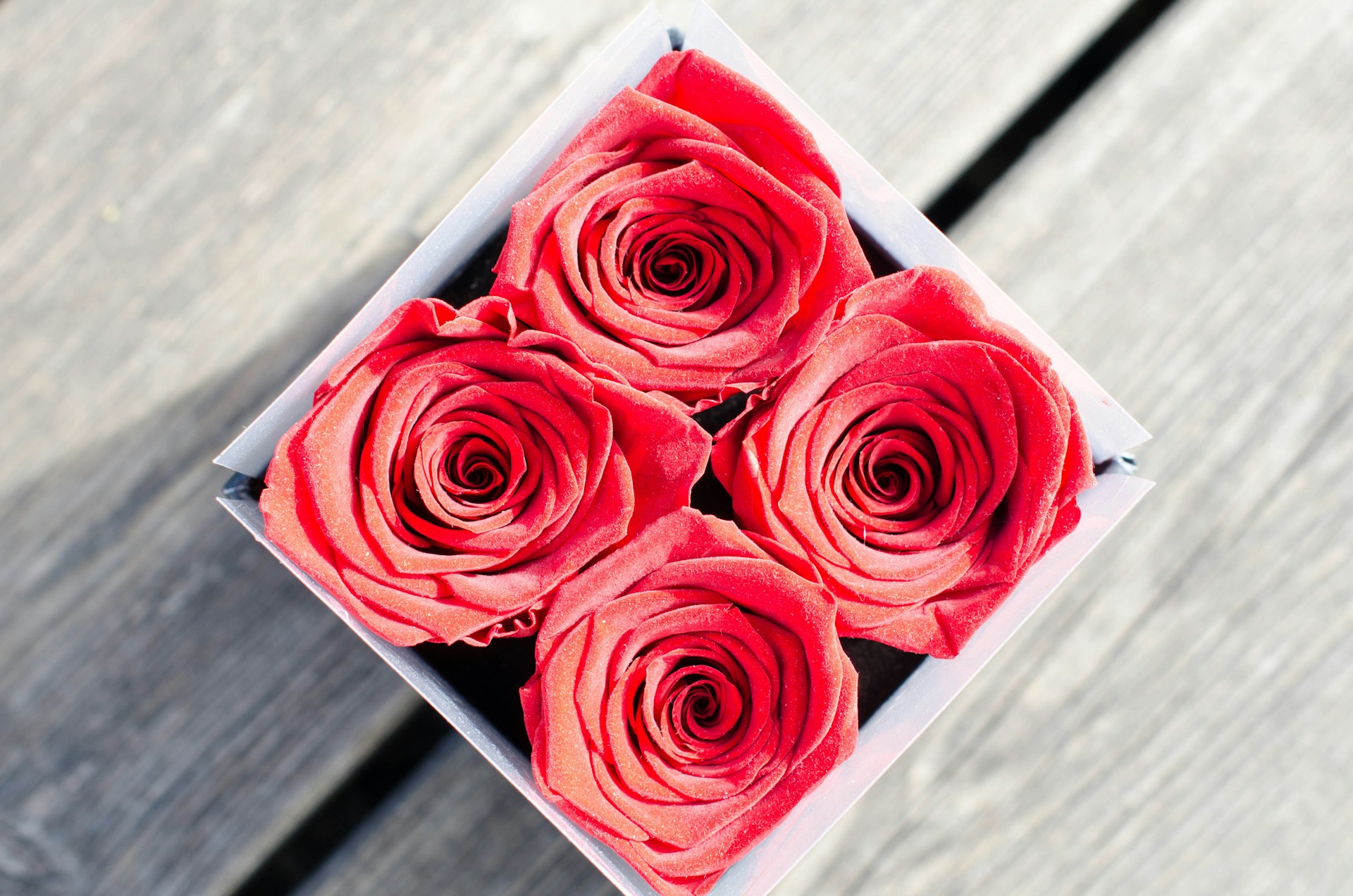 Os Tipos de Flores Mais Vendidas no Dia dos Namorados e Como Oferecê-las no Seu E-commerce